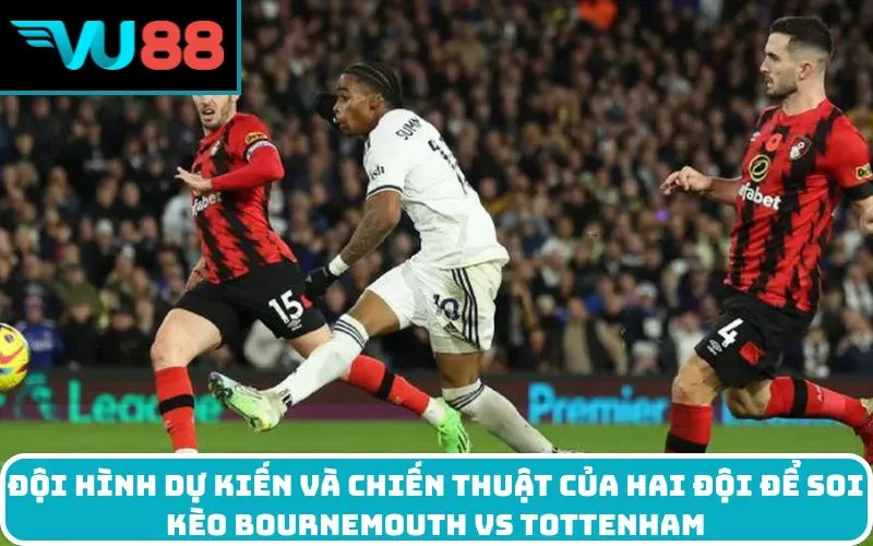 Đội hình dự kiến và chiến thuật của hai đội để soi kèo Bournemouth Vs Tottenham