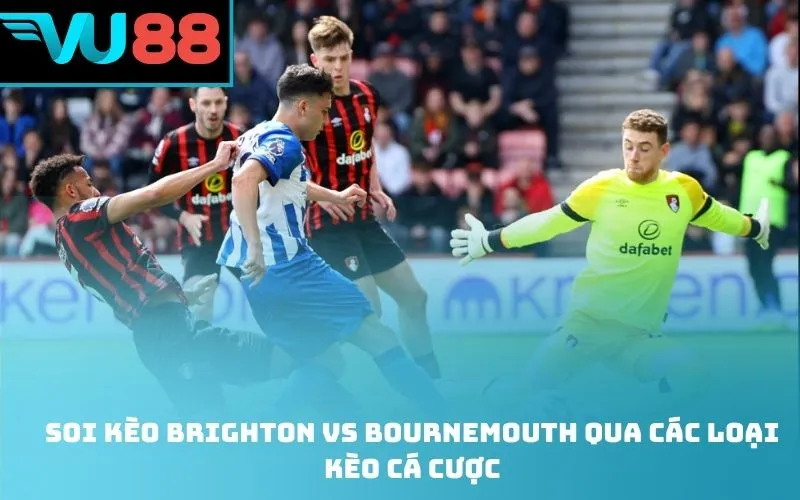 Soi kèo Brighton Vs Bournemouth qua các loại kèo cá cược