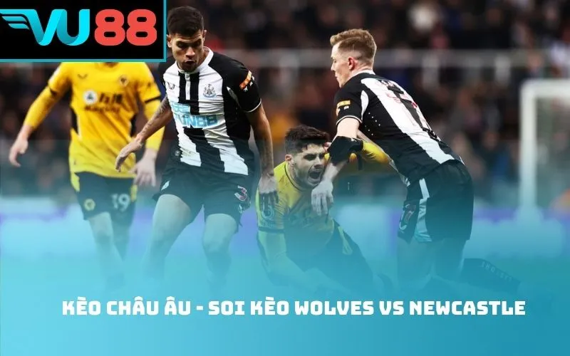 Kèo châu Âu - soi kèo Wolves Vs Newcastle