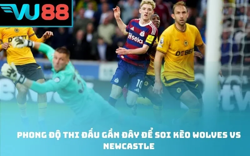 Phong độ thi đấu gần đây để soi kèo Wolves Vs Newcastle