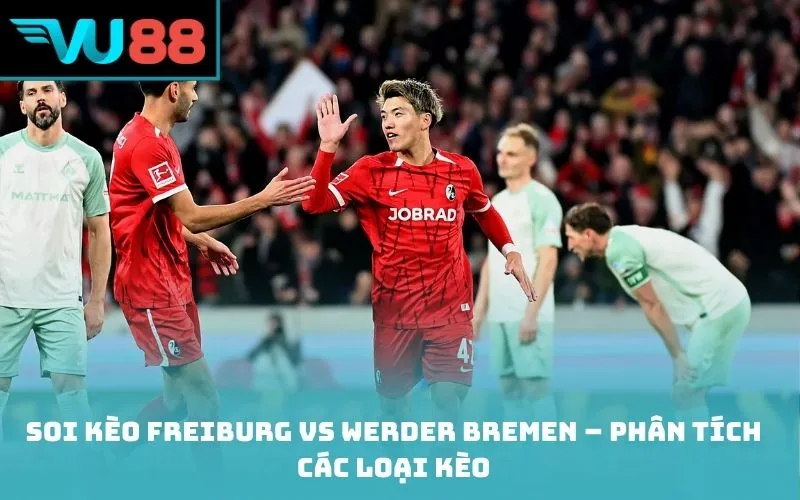 Soi kèo Freiburg vs Werder Bremen – Phân tích các loại kèo