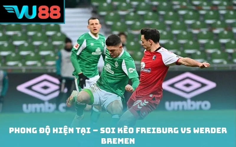 Phong độ hiện tại – Soi kèo Freiburg vs Werder Bremen